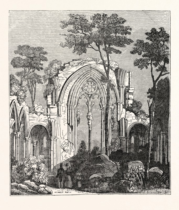Ruins of Netley Abbey