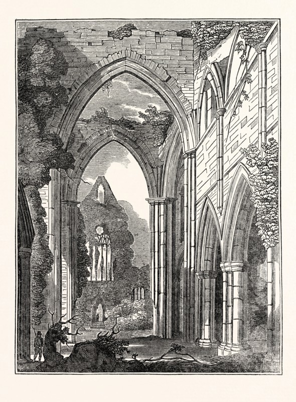 View of Tintern Abbey