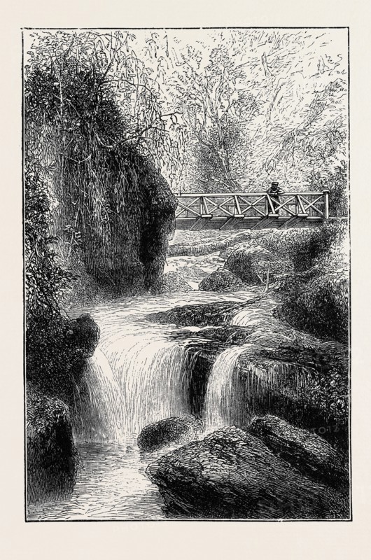 THE CINCHONA PLANTATIONS AT DARJEELING, BENGAL: FOOT-BRIDGE OVER THE RIVER RUNGBEE