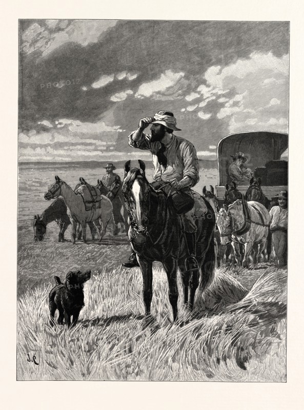 IN SEARCH OF A NEW HOME, A SCENE IN THE FAR WEST