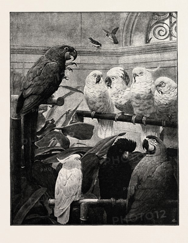 "A SELECT COMMITTEE"