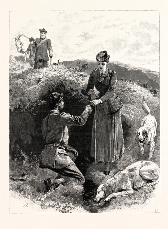 GROUSE SHOOTING ON THE MOORS: THE CUP THAT CHEERS, BUT NOT INEBRIATES