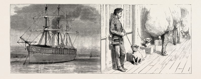 THE INDIAN RELIEF TROOPING SEASON, PASSING THROUGH THE SUEZ CANAL: TIED UP AT A "GARE" OR STATION (LEFT); IN THE WAIST, THE DOGS' QUARTER (RIGHT)