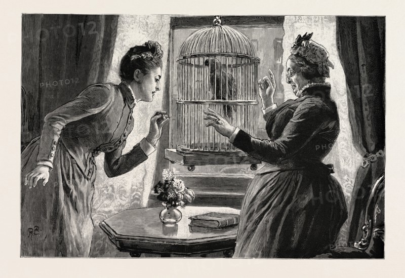 THE PARROT AND THE CABBIES, AN INCIDENT AT A SEASIDE HOLIDAY RESORT: THE CAUSE (THE PARROT HAS TAUGHT ITSELF THE CAB WHISTLE)