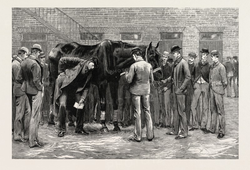 THE CENTENARY OF THE ROYAL VETERINARY COLLEGE, CAMDEN TOWN: STUDENTS AT WORK UNDER THE DIRECTION OF S PROFESSOR. FREE-PRACTICE; SOUNDING HIS LUNGS
