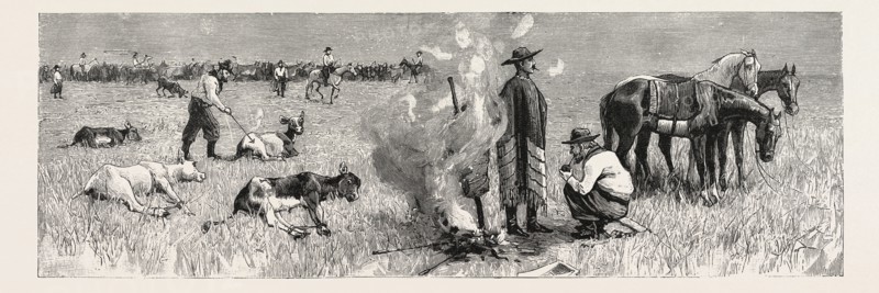 SKETCHES OF LIFE ON AN ESTANCIA IN THE ARGENTINE REPUBLIC: THE "CAPATAZ," OR OVERSEER, BRANDING THE CALVES