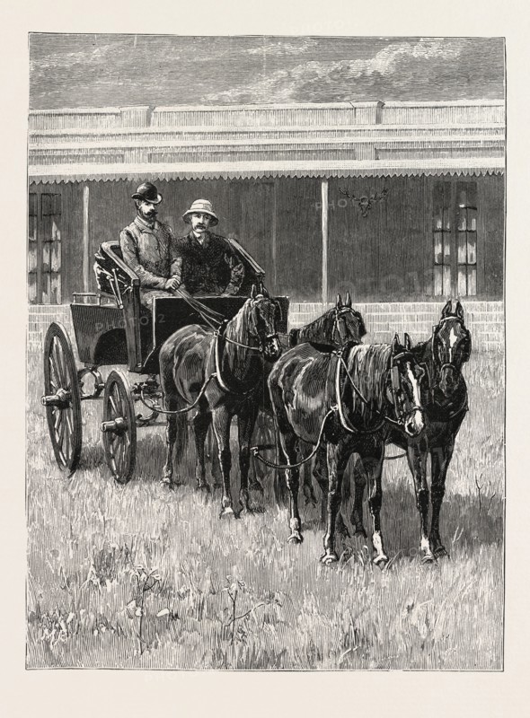 SKETCHES OF LIFE ON AN ESTANCIA IN THE ARGENTINE REPUBLIC: STARTING FOR A DRIVE OVER THE PAMPAS IN A MAIL-PHEATON