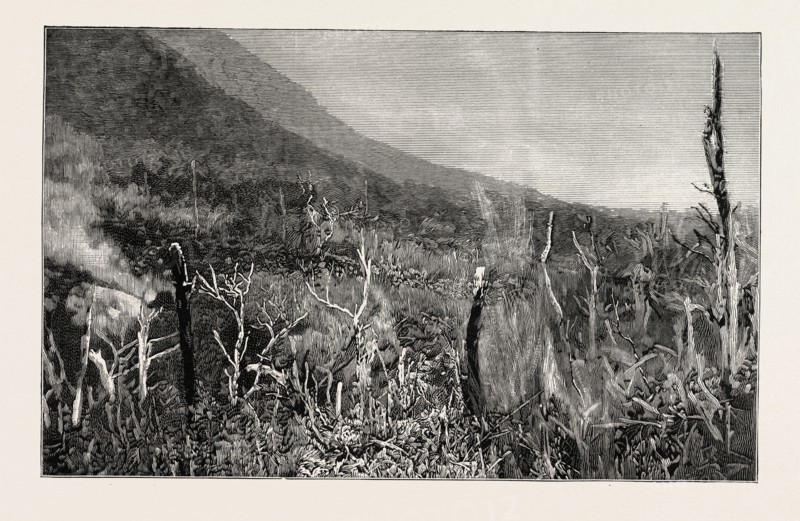 THE SULPHUR GROUNDS, OJIGOKU (GREAT HELL), NEAR LAKE HAKONE, JAPAN, "Sulphurous smoke issues from any hole made by a stick thrust into the ground at one's feet."