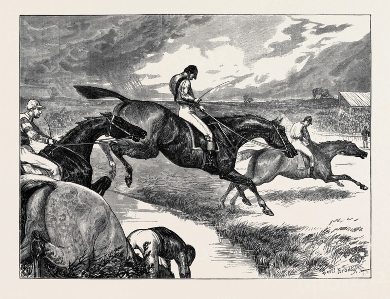 STEEPLECHASING: THE LAST BROOK