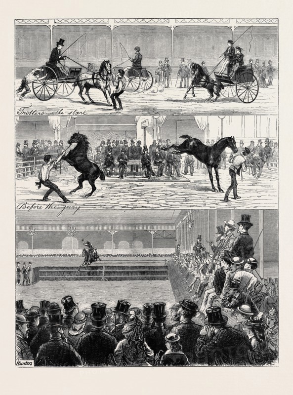 A PARISIAN HORSE SHOW