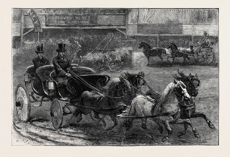 FOUR-IN-HAND AND TANDEM PONIES AT THE HORSE SHOW