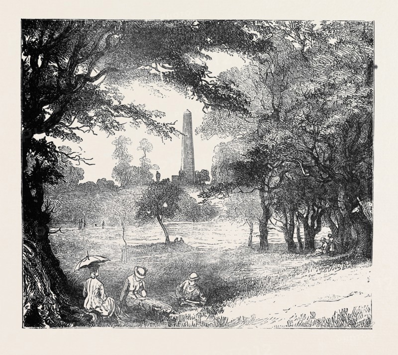 VIEW IN PHOENIX PARK, DUBLIN, IRELAND