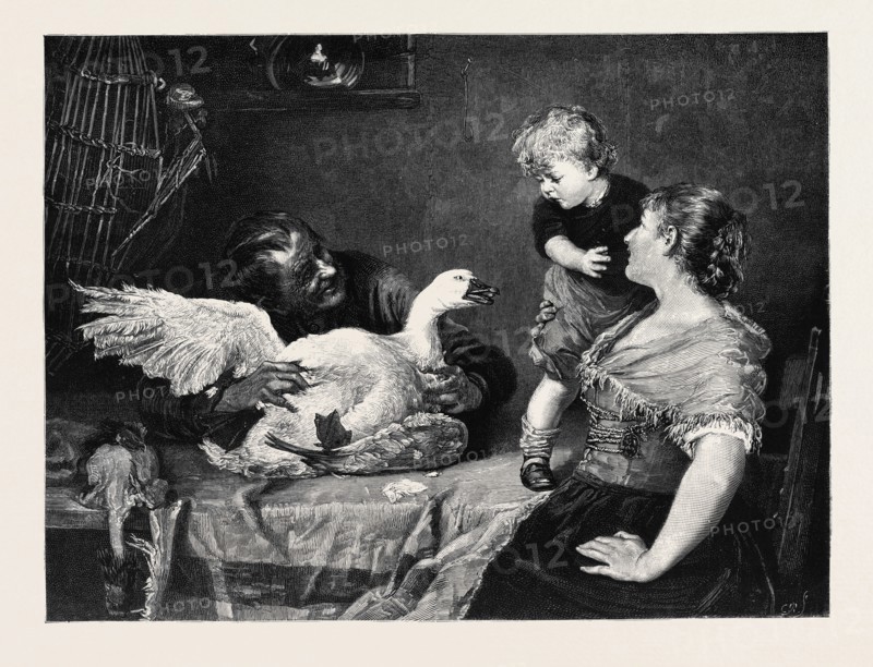 "IN DOUBT" FROM THE PICTURE BY ERNST ZIMMERMANN