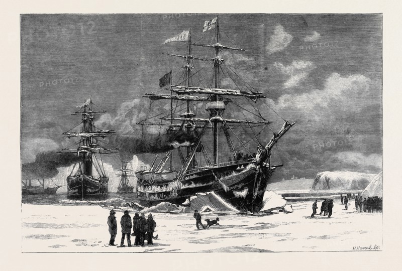 THE NEWFOUNDLAND SEAL FISHERIES, THE DUNDEE FLEET FORCING ITS WAY THROUGH THE ICE INTO ST. JOHN'S HARBOUR