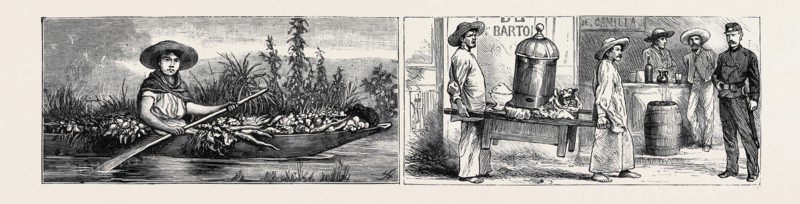 MEXICO: VEGETABLE MERCHANT (LEFT), TRIPE MERCHANTS (RIGHT)