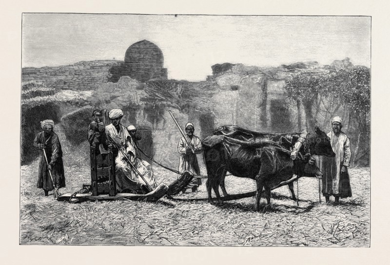 A NATIVE CHAFF-CUTTING MACHINE, EGYPT