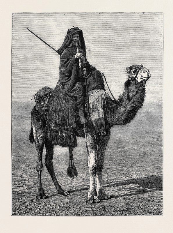 EGYPT: A TRAVELLING BEDOUIN