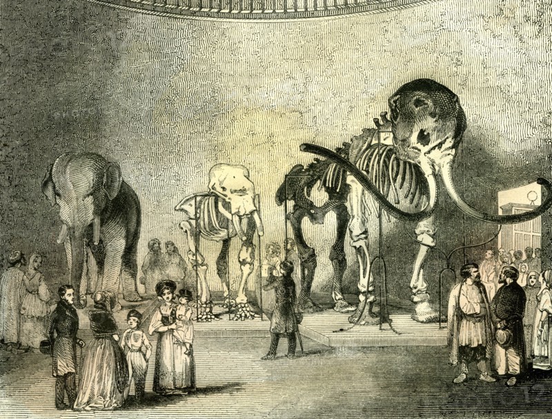 St Petersburg, Russia, 19th century