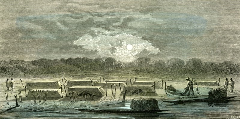 Mosquito Nets, 1869, Peru