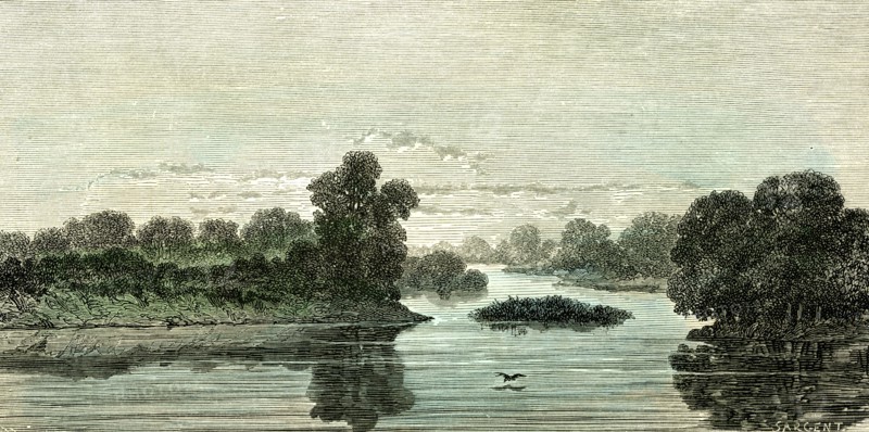 Pachitea River, 1869, Peru