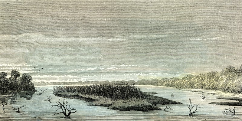 Apu-Paro River, 1869, Peru