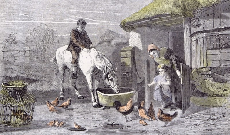 The Farmhouse Porch; Walter Goodall; Children; Horse; Chicken, 19th century, farm; white horse; drinking; chicken; mother; house; cage; wooden house; straw roof; window; crumbled wall; stable door; chicks;