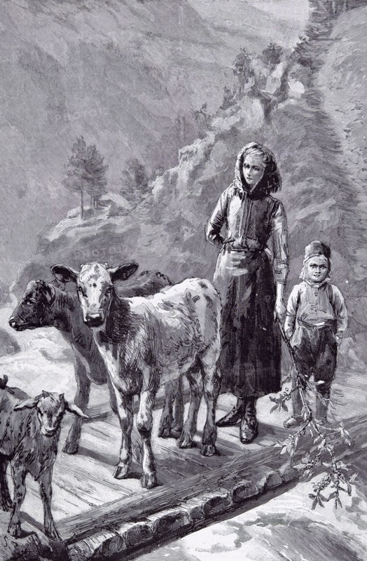 Norway, the Family cows by Sydney P. Hall, 1891, wooden bridge; mother; son; rural; farm; country side; ma; mamma; mom; mommy; mountains; walk; rail less plank bridge; mountain torrent; branch in hand; flocks and herds of the little homestead; two calves; norwegian farmer