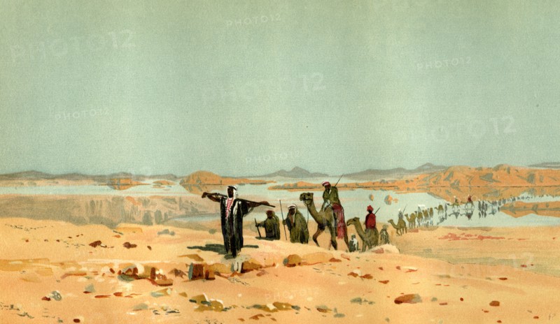 Sahara, 19th century, desert, camels