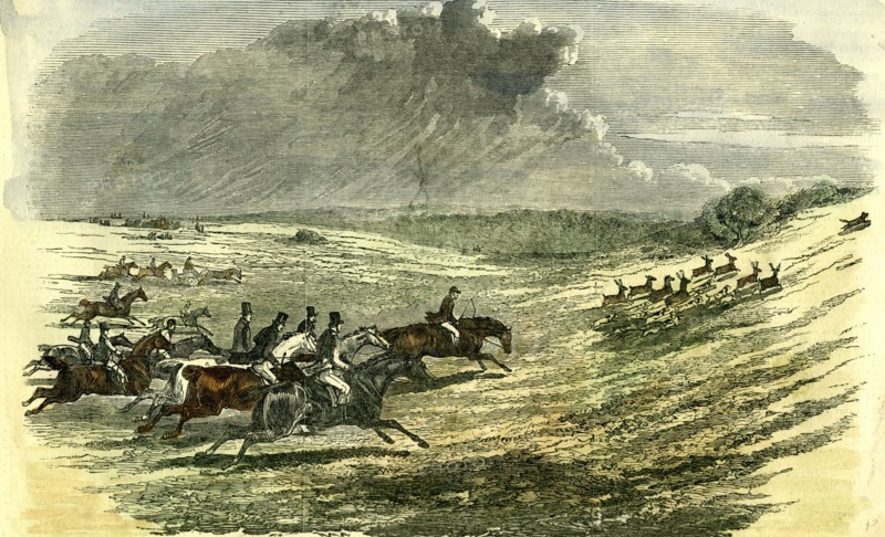 Lyndhurst, New Forest, U.K., 1850, chase of a jackal, hunt