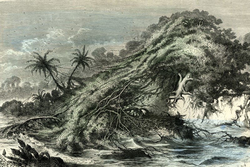 Ucayali, Peru, 1869