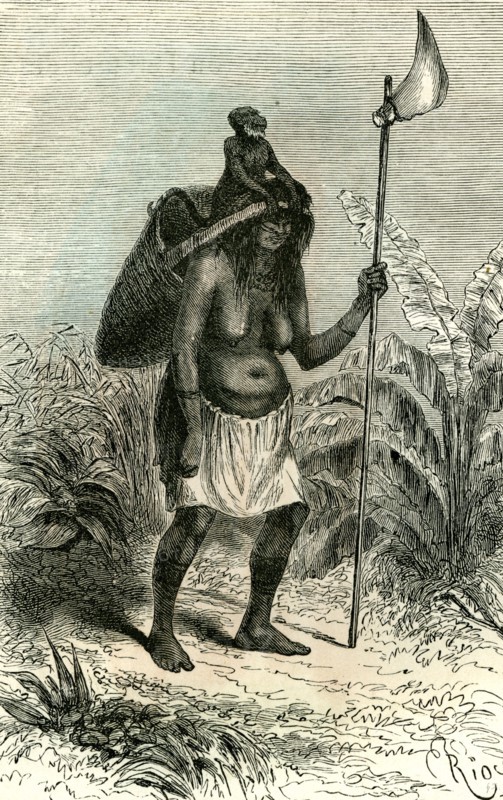 Plantation, Peru, 1869