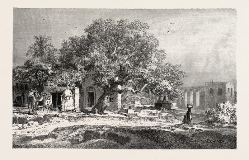 OLD AQUEDUCT.  Egypt, engraving 1879