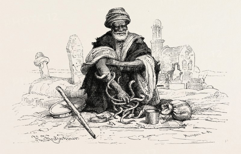 SNAKE-CHARMER.  Snake charming is the practice of pretending to hypnotise a snake by playing an instrument. Egypt, engraving 1879