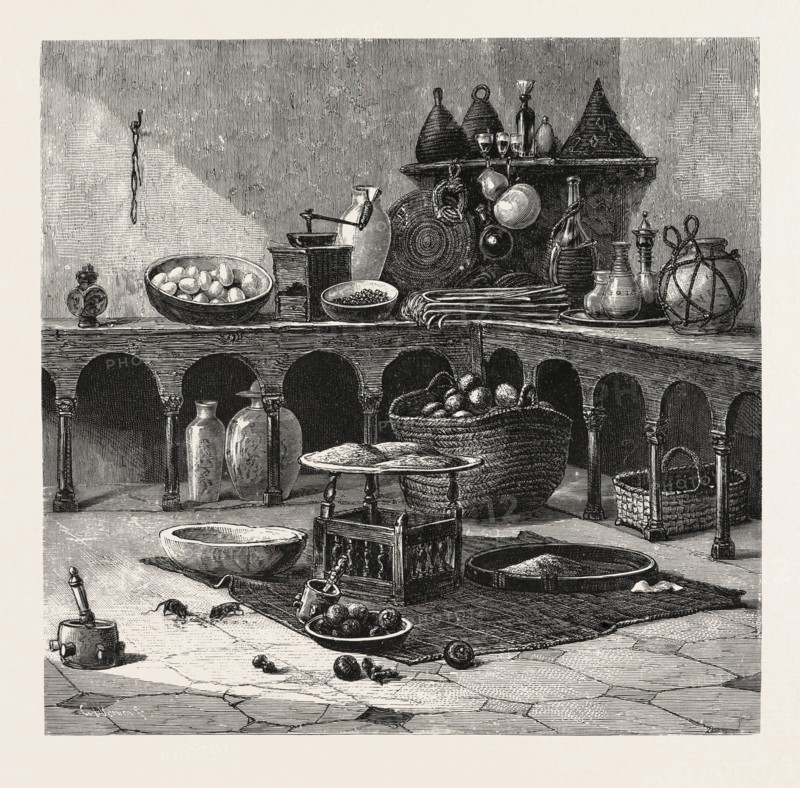 ARABIAN PANTRY.  Egypt, engraving 1879