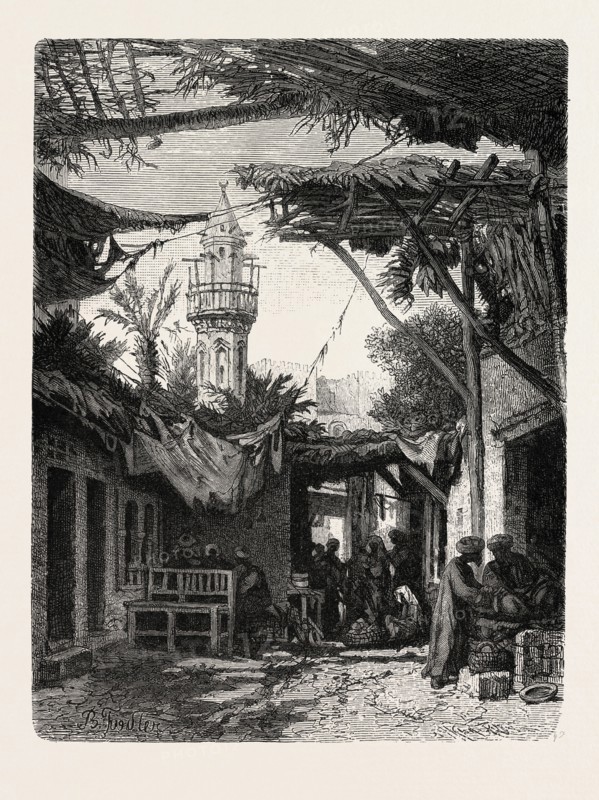 SUBURB AT THE BAB-EN-NASR.  Egypt, engraving 1879