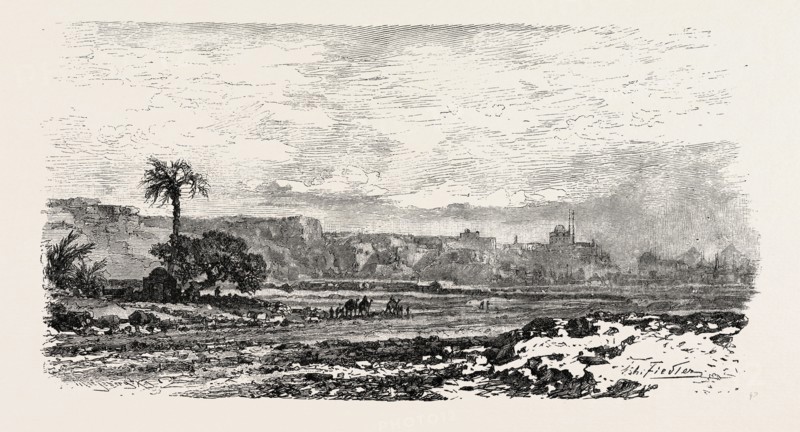ROAD TO THE PETRIFIED FOREST.  Egypt, engraving 1879