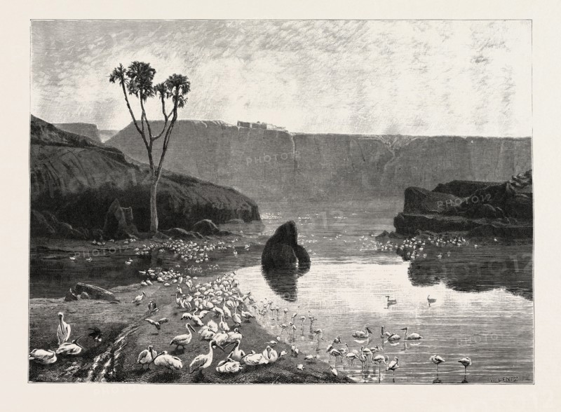 GEBEL EL TAYR. Egypt, engraving 1879