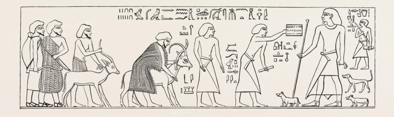 SEMITES ENTERING INTO THE NOME OF MAH. Egypt, engraving 1879