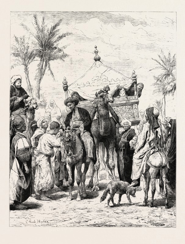LANDED PROPRIETOR RETURNING FROM A PILGRIMAGE. Egypt, engraving 1879