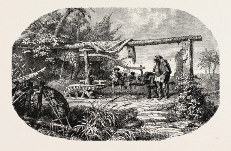 WATER-WHEEL. Egypt, engraving 1879