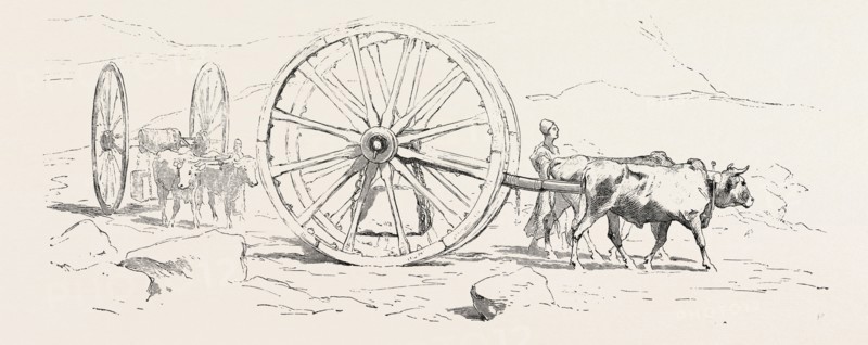 TRANSPORT OF STONE. Egypt, engraving 1879