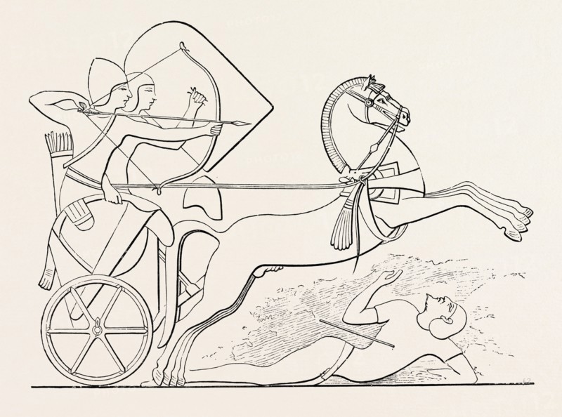 THE HORSE IN THE HEAT OF BATTLE. Egypt, engraving 1879