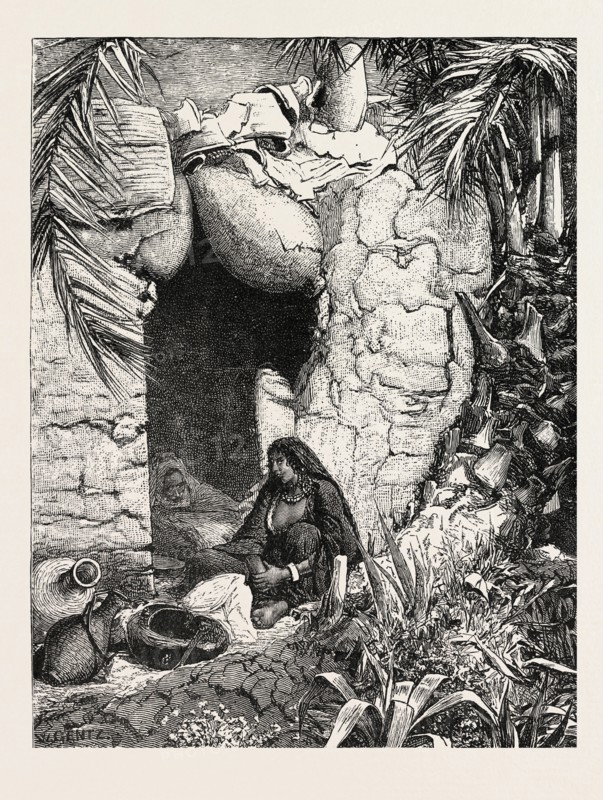 HUT OF A FELLAH, WITH ROOF OF POTS. Egypt, engraving 1879