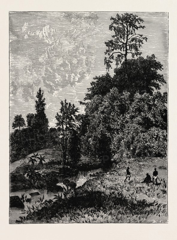 A VIEW IN ABYSSINIA. Ethiopia, Ethiopian Empire.