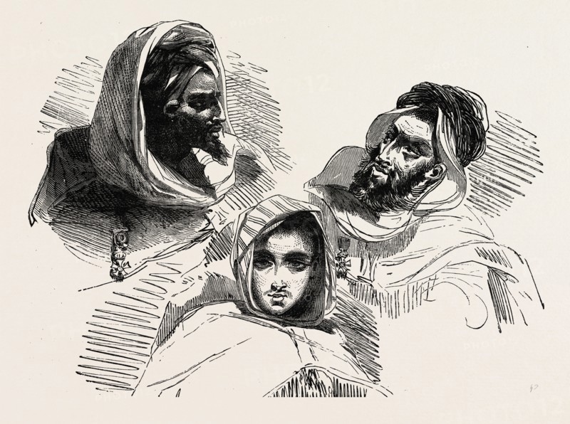 MOORS, several historic and modern populations from North Africa
