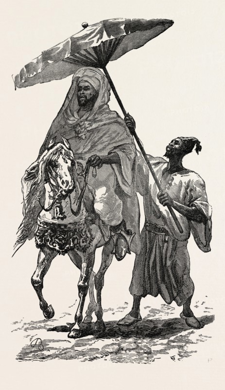 THE SULTAN OF MOROCCO