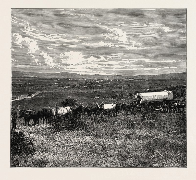 VIEW OF PRETORIA, THE CAPITAL OF THE TRANSVAAL. Pretoria is a city in the northern part of Gauteng Province, South Africa.