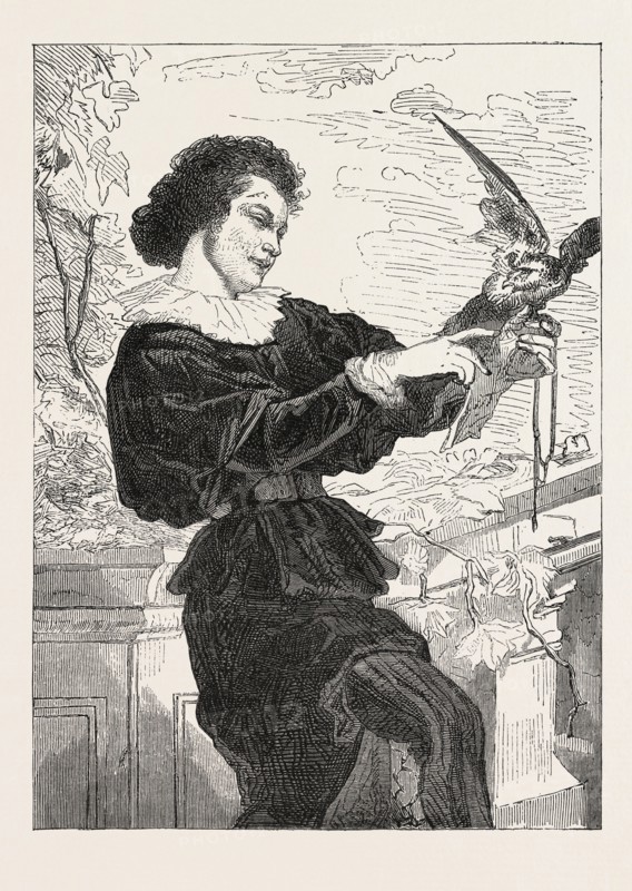 Salon of 1855. The Young Falconer, painting by Couture, France. engraving 1855