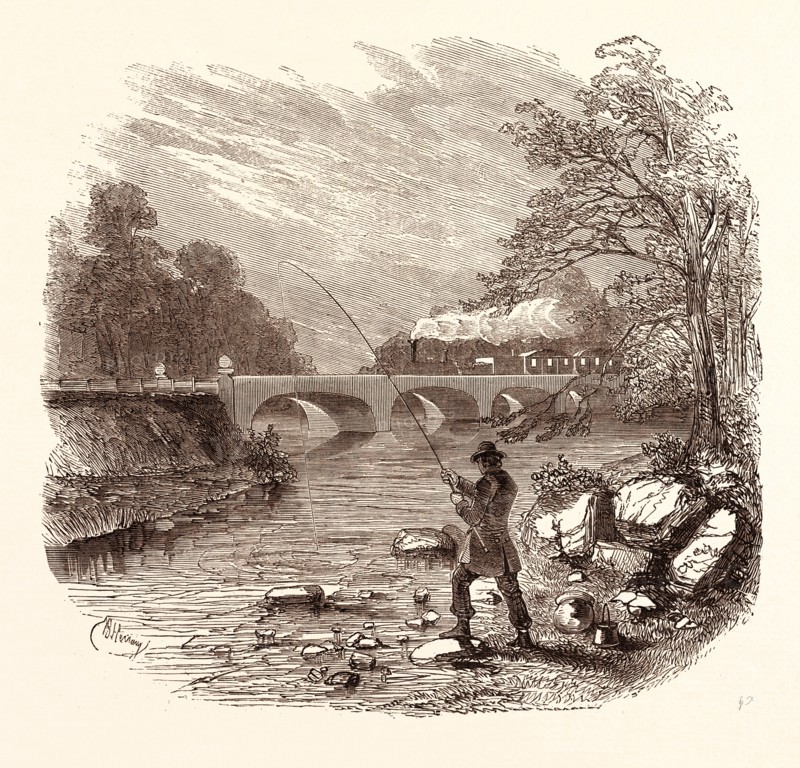 ANGLING, fishing, water, fish, fisherman, bait, river, angler, man, fisher