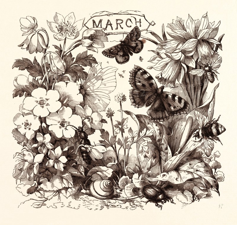 MARCH, calendar, year, month, monthly